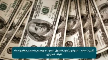 تغيرات حادة.. الدولار يتجاوز السوق السوداء ويصدم بأسعار مفاجئة عند البنك المركزي
